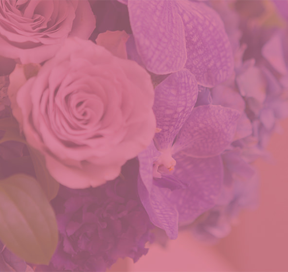 今週の院長おすすめ施術