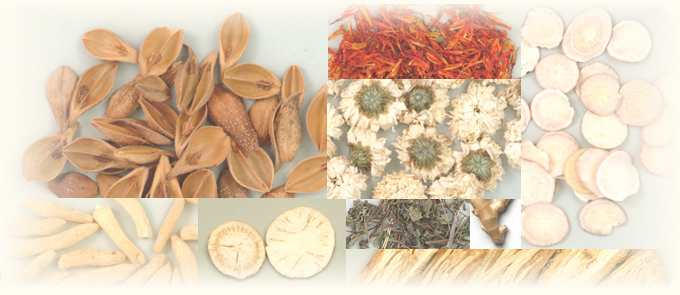 漢方美容とは、漢方薬の写真